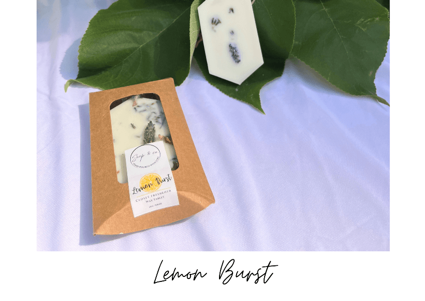Lemon Burst Closet Freshener